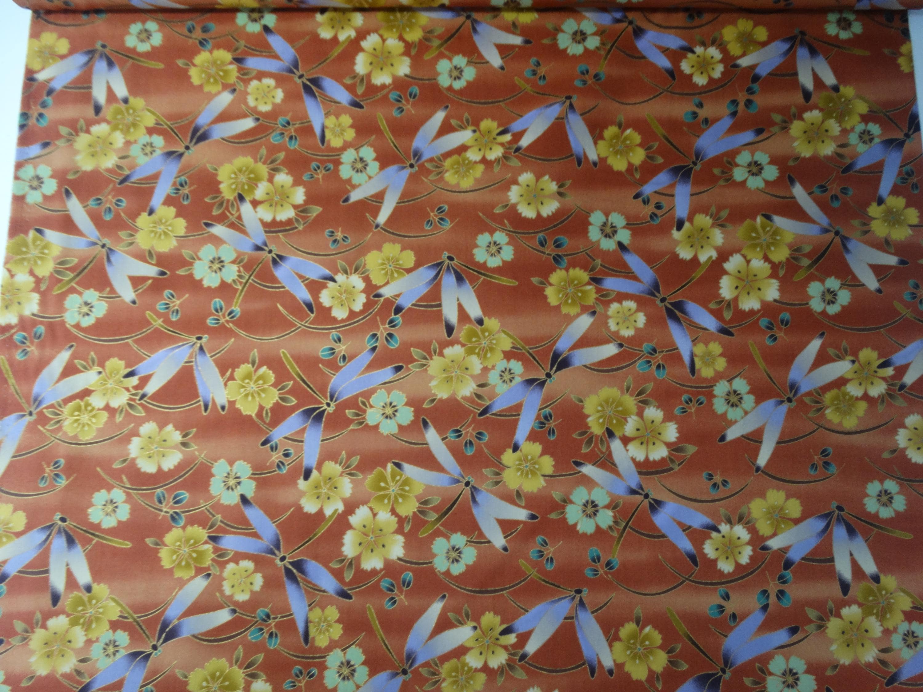 Kona Bay 2010 - FLIG-05 - "Flight of the Dragonflies"