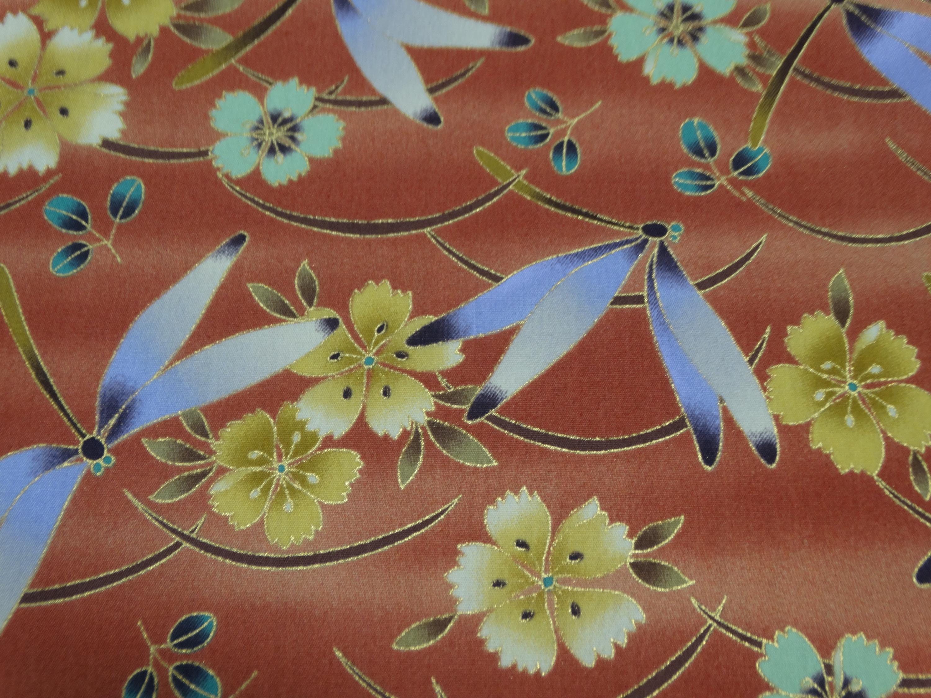 Kona Bay 2010 - FLIG-05 - "Flight of the Dragonflies"